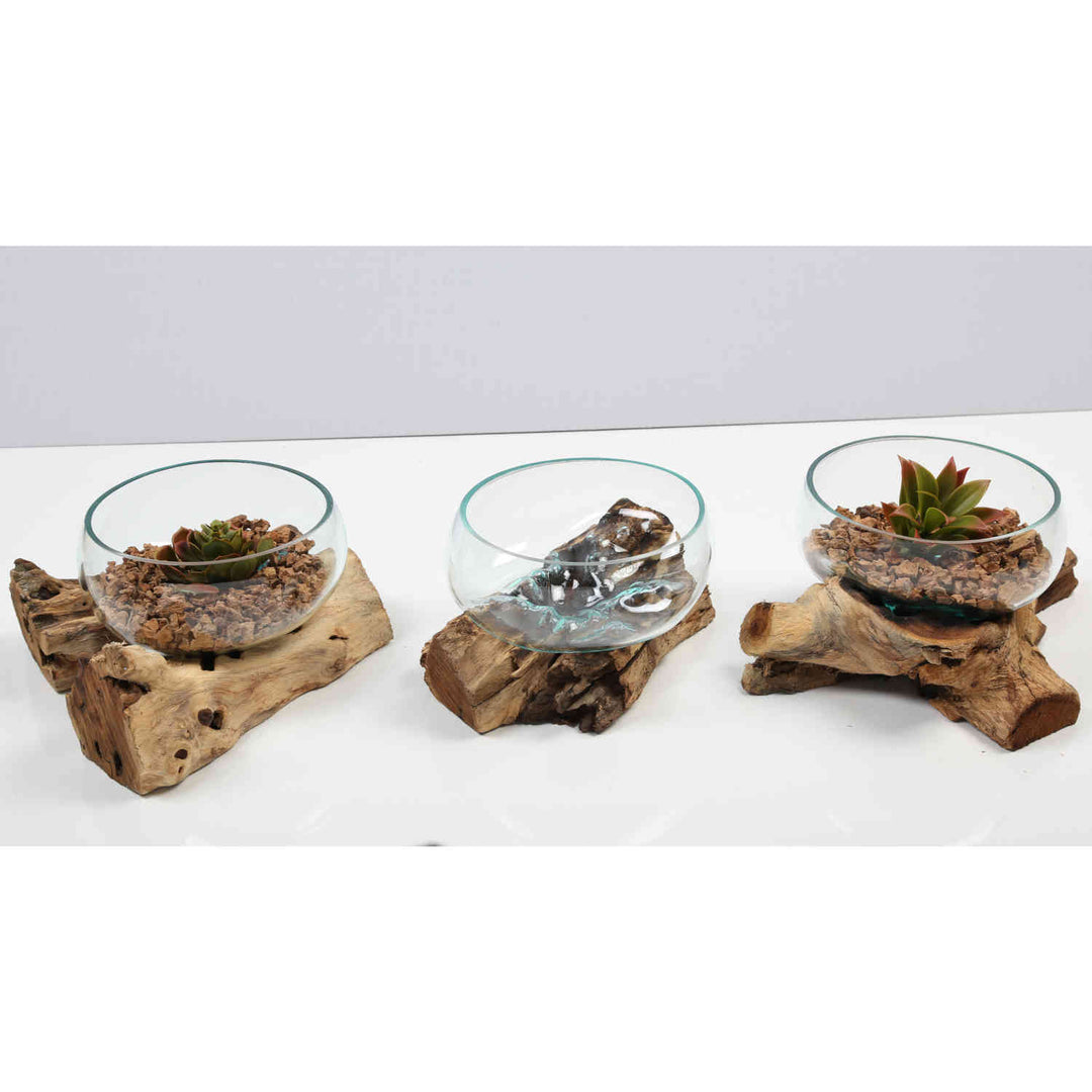 Glas Schale 20 cm auf Wurzelholz