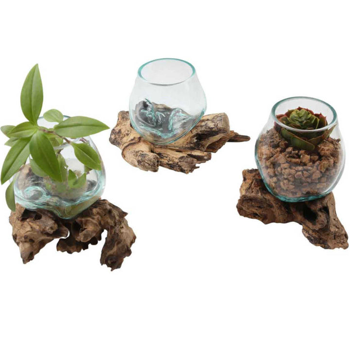 Glasvase auf Wurzelholz A12