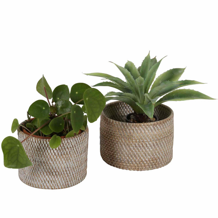 Besteckkorb Lilia White washed